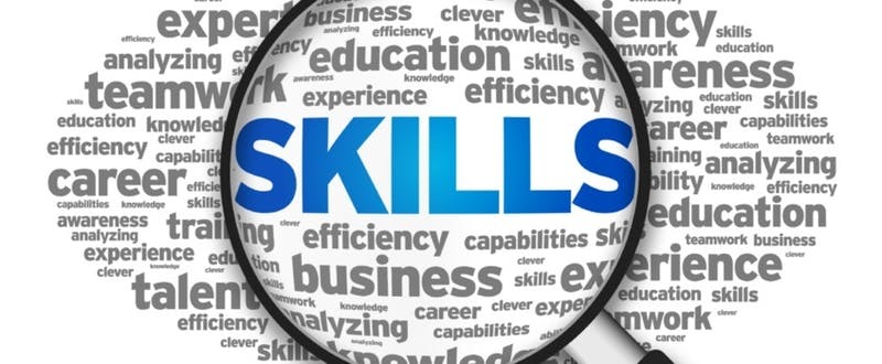 Career Skills 2